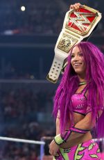 WWE -  2017 Champions