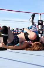 WWE - Tribute to the Troops 2017