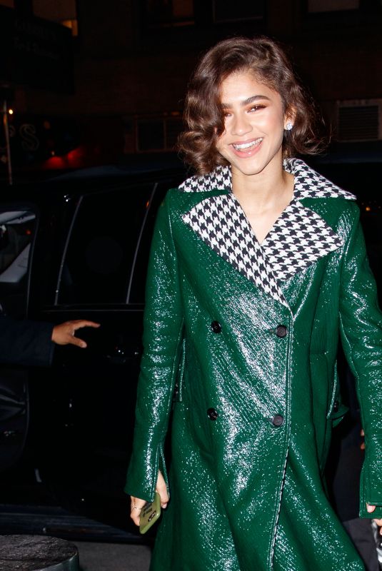 ZENDAYA COLEMAN Arrives at Tonight Show in New York 12/11/2017