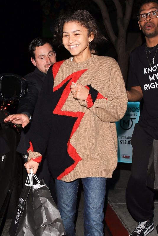 ZENDAYA COLEMAN Out for Dinner in Beverly Hills 12/01/2017
