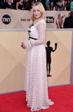 ABBIE CORNISH at Screen Actors Guild Awards 2018 in Los Angeles 01/21/2018