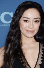 AIMEE GARCIA at Fox Winter All-star Party, TCA Winter Press Tour in Los Angeles 01/04/2018