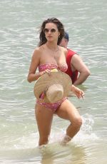 ALESSANDRA AMBROSIO in Bikini on the Beach in Florianopolis 01/02/2018