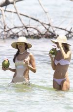 ALESSANDRA AMBROSIO in Swimsuit at Praia Brava Beach in Brazil 01/16/2018