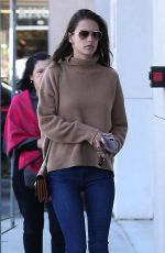 ALESSANDRA AMBROSIO Out Shopping in Santa Monica 01/22/2018