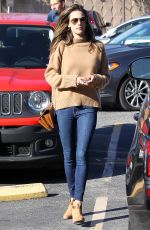 ALESSANDRA AMBROSIO Out Shopping in Santa Monica 01/22/2018