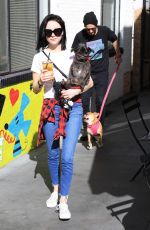ALESSANDRA TORRESANI Out with Her Dog in Studio City 01/14/2018