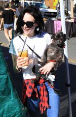 ALESSANDRA TORRESANI Out with Her Dog in Studio City 01/14/2018