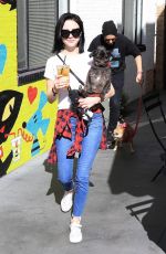 ALESSANDRA TORRESANI Out with Her Dog in Studio City 01/14/2018