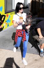 ALESSANDRA TORRESANI Out with Her Dog in Studio City 01/14/2018