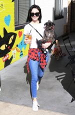 ALESSANDRA TORRESANI Out with Her Dog in Studio City 01/14/2018