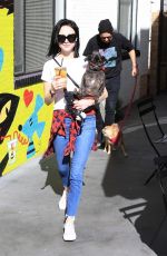 ALESSANDRA TORRESANI Out with Her Dog in Studio City 01/14/2018