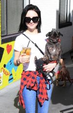 ALESSANDRA TORRESANI Out with Her Dog in Studio City 01/14/2018