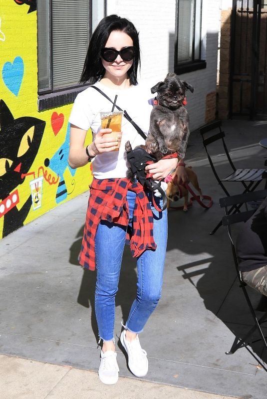 ALESSANDRA TORRESANI Out with Her Dog in Studio City 01/14/2018