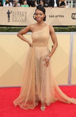 AMANDA WARREN at Screen Actors Guild Awards 2018 in Los Angeles 01/21/2018