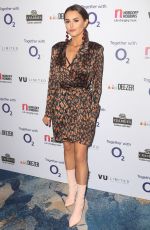 AMBER DAVIES at Nordoff Robbins Dinner in London 01/17/2018