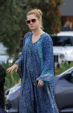 AMY ADAMS Leaves a Veterinarian Office in West Hollywood 01/02/2018