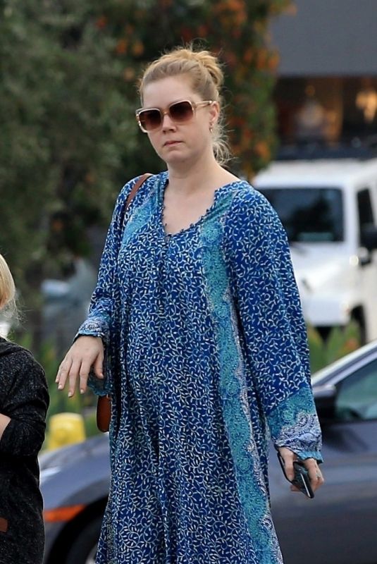 AMY ADAMS Leaves a Veterinarian Office in West Hollywood 01/02/2018
