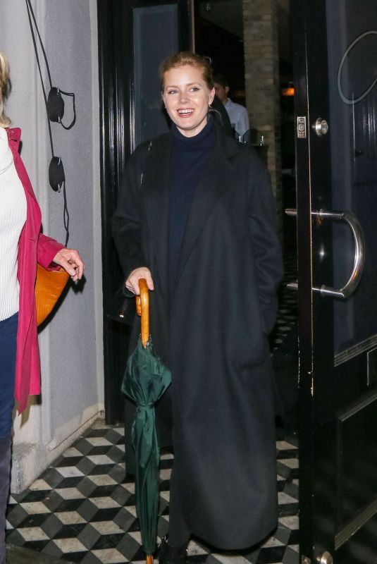 AMY ADAMS Out and About in Los Angeles 01/08/2018