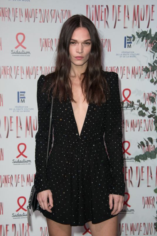 ANNA BREWSTER at Sidaction Gala Dinner in Paris 01/25/2018