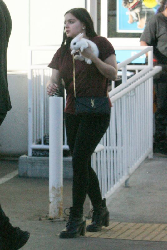 ARIEL WINTER Leaves a Petco Store with Baby Bunny in Los Angeles 01/27/2018