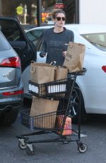 ASHLEY GREENE Shopping for Grocery in West Hollywood 01/25/2018