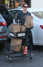 ASHLEY GREENE Shopping for Grocery in West Hollywood 01/25/2018