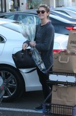 ASHLEY GREENE Shopping for Grocery in West Hollywood 01/25/2018