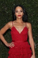 BIANCA LAWSON at 49th Naacp Image Awards in Pasadena 01/14/2018