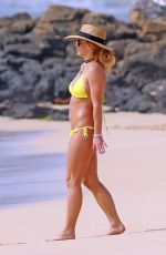 BRITNEY SPEARS in Bikini at a Beach in Hawaii 01/08/2018
