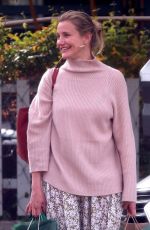 CAMERON DIAZ and LAKE BELL Out Shopping in Los Angeles 01/06/2018