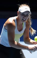 CAROLINE WOZNIACKI at Australian Open Tennis Championships Practice Session in Melbourne 01/14/2018