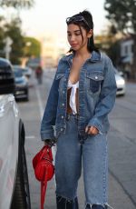 CHANTEL JEFFRIES Out for Lunch at Urth Caffe in West Hollywood 01/12/218