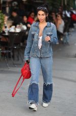 CHANTEL JEFFRIES Out for Lunch at Urth Caffe in West Hollywood 01/12/218