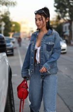 CHANTEL JEFFRIES Out for Lunch at Urth Caffe in West Hollywood 01/12/218