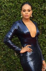 DEMETRIA MCKINNEY at 49th Naacp Image Awards in Pasadena 01/14/2018