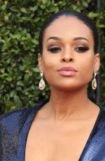 DEMETRIA MCKINNEY at 49th Naacp Image Awards in Pasadena 01/14/2018