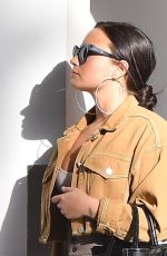 DEMI LOVATO at LAX Airport in Los Angeles 01/22/2018