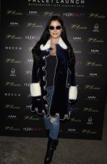 DEMI ROSE MAWBY at Plouise Event and Eye-Shadow Palette Launch in Manchester 01/14/2018