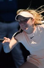 ELINA SVITOLINA at Australian Open Tennis Tournament in Melbourne 01/17/2018