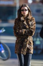 EMILY RATAJKOWSKI Out in New York 01/26/2018