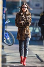 EMILY RATAJKOWSKI Out in New York 01/26/2018