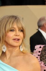 GOLDIE HAWN at Screen Actors Guild Awards 2018 in Los Angeles 01/21/2018