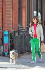 HELENA CHRISTENSEN Out with Her Dog in New York 01/28/2018
