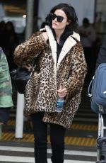 JAIMIE ALEXANDER at LAX Airport in Los Angeles 01/19/2018