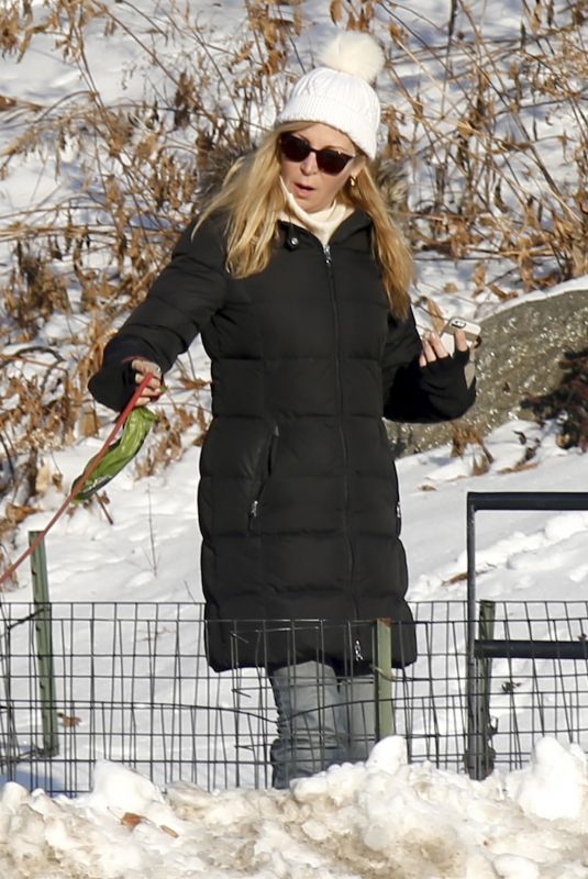JENNIFER WESTFELDT Out with Her Dog in Central Park in New York 01/09/2018