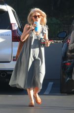 JULIANNE HOUGH Out and About in Los Angeles 01/27/2018
