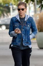 KATE MARA Shopping for Groceries at a Market in Los Angeles 01/17/2018