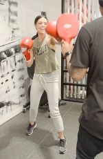 KATIE LEE Working Out at Rumble Boxing in New York 01/15/2018