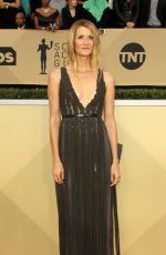 LAURA DERN at Screen Actors Guild Awards 2018 in Los Angeles 01/21/2018
